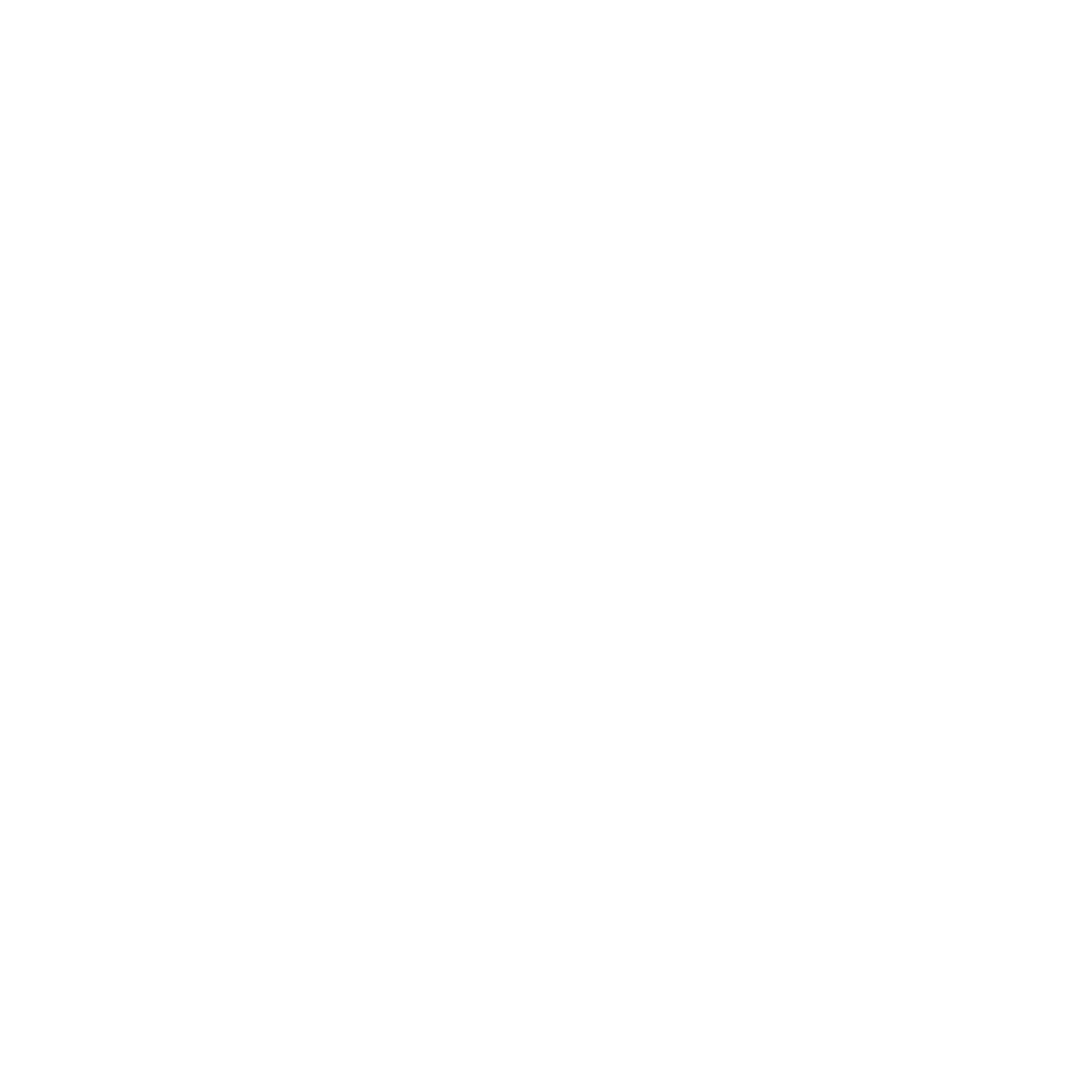 Bitkoinz Logo